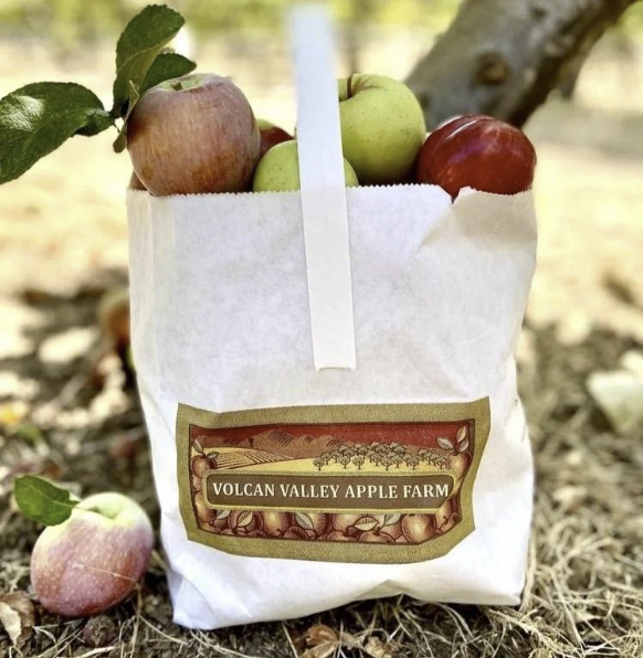 Volcan Valley Apple Farm branded U-Pick bag filled with apples